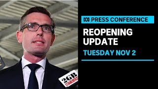IN FULL: NSW announces changes to reopening roadmap | ABC News