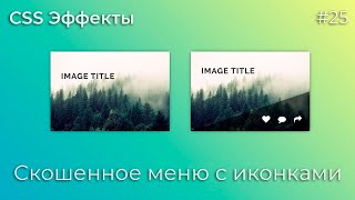 CSS Inspiration #25 Cool Image Card Hover Effect