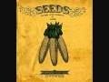 Georgia Anne Muldrow.-Seeds.