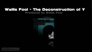 Wellis Fool - The Deconstruction of Y