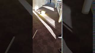 Running Down the Hallways