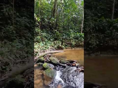 Cachoeira Pirapora  Mâncio Lima(AC) vem do Tupi "Salto do Peixe"