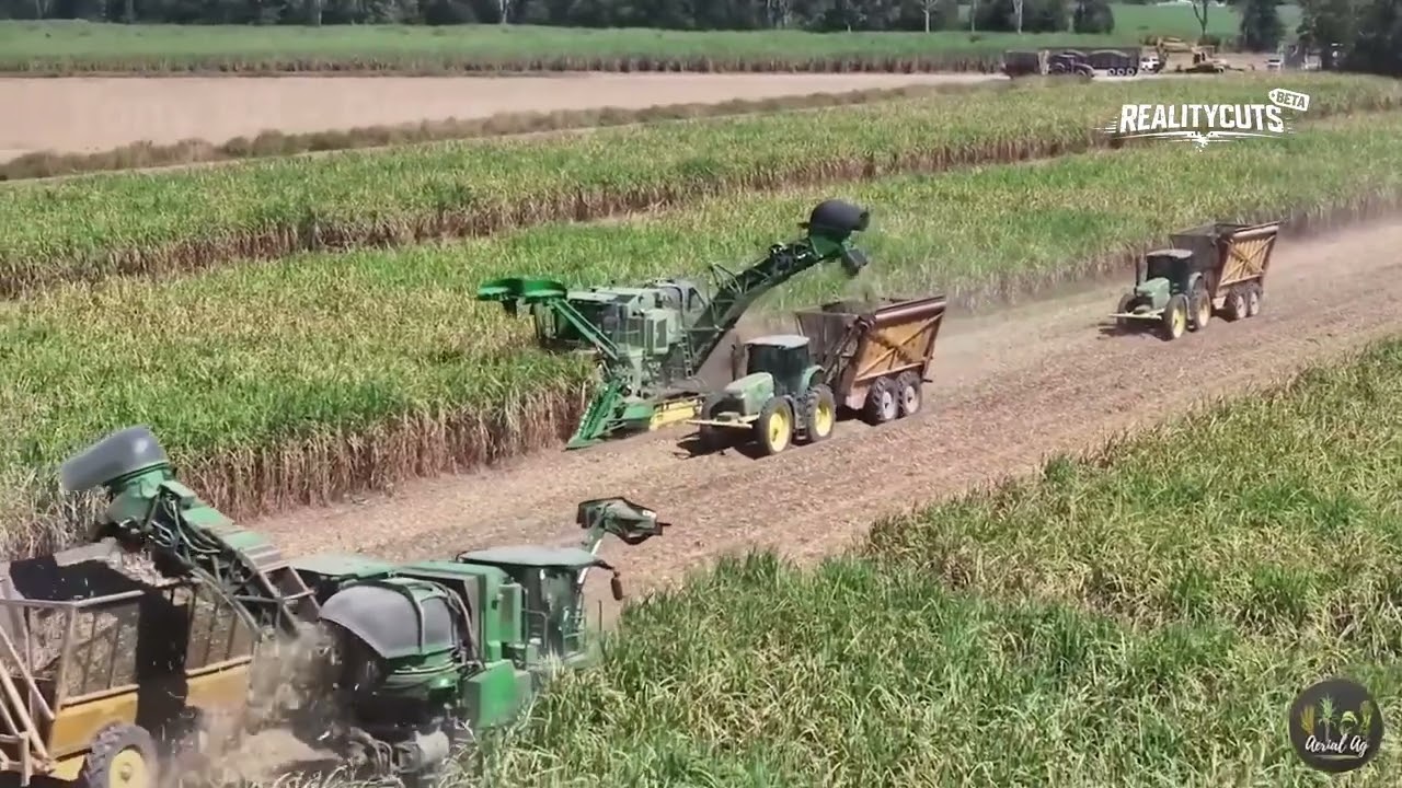 From 30% to 1%: Farming's Tech Revolution