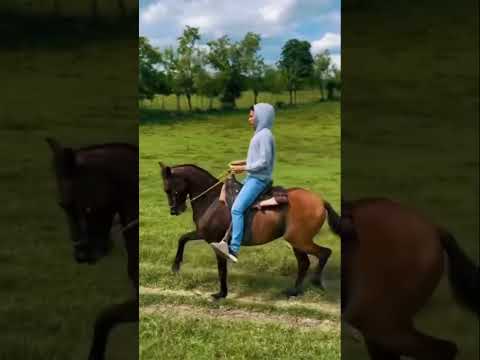 Un día en el campo #colombia#caballos #sucre #campo #agro #corozal #caribe #turismo