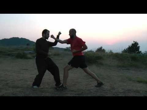 Xing Yi Quan - Wu Xing Sheng Ke