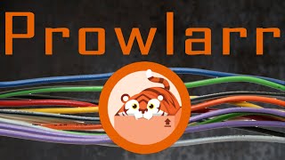 Prowlarr - A must have for easy automation!
