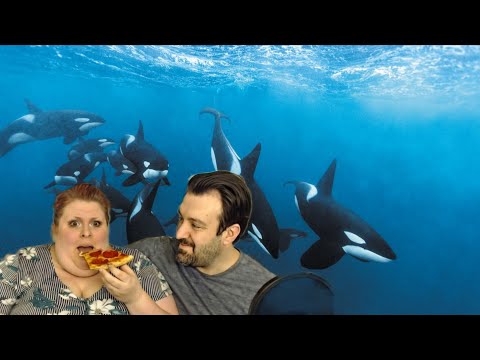 DSP's Delusional Take About His Popularity and Levels Of Support! I Have Mulitple Whales 