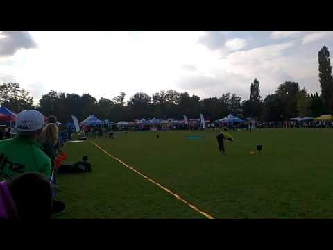 DHZ Zbora A - SSP 2016 Poľný Kesov