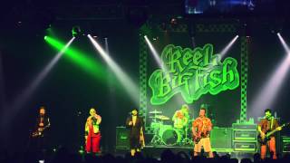 Reel Big Fish "Your Guts (I Hate Em)" Best Buy Theater, NYC - June 16th 2015
