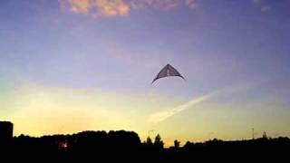 4D  little kite in flight