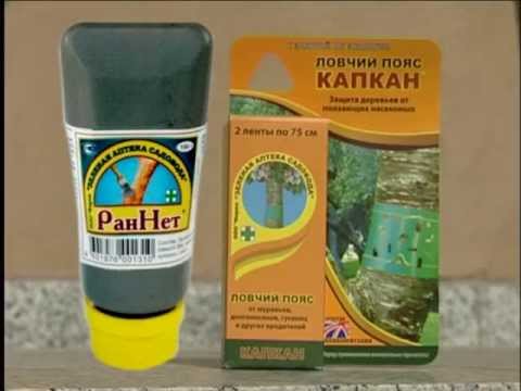 Миниатюра изображения товара Средство защиты растений Зеленая Аптека Садовода Паста Раннет (150гр)