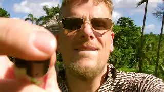 Video zu 'Toyota' ansehen Video zu 'Toyota' ansehen