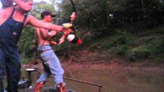 preview picture of video 'outlaw bowfishing highlights 2010'