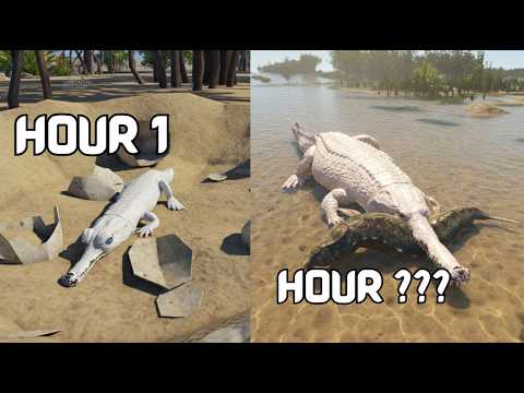 Machimosaurus: Road to elder | Prior extinction