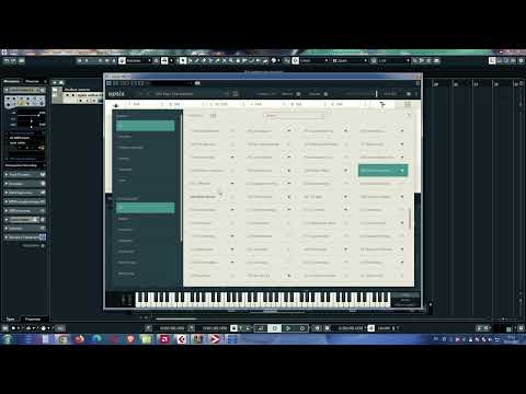 KORG OPSIX NATIVE VST / best factory sounds (no talking)