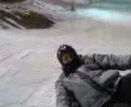 snowboarder scoppiato a prato nevoso