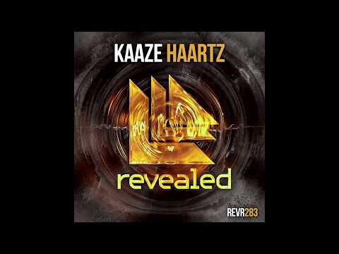 Kaaze vs DBSTF & Maurice West vs Firebeatz - Haartz vs Temple vs Arsonist (Dany Woodster 2017 Edit)