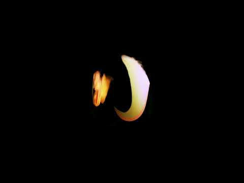 Torn Relics ⥊ Rebirth (Official Video) LEYLA015