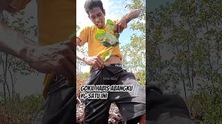 Download lagu Putting fire ants in my underwear, #viralvideo #trending #foryou #fyp #shorts mp3 Download lagu Putting fire ants in my underwear, #viralvideo #trending #foryou #fyp #shorts mp3