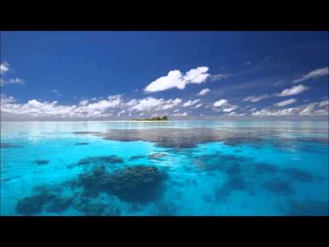 Birkwin Jersey Sixes And Nines