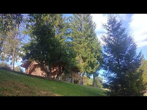 Muzeul Chihlimbarului, Colți, Buzău