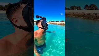 Ocean Cay, Bahamas & MSC Divina #shorts