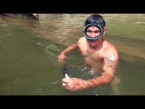 36 !! Borneo Death Blow   Full Documentary