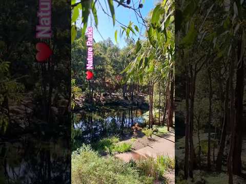 Love Nature ❤️ #shorts