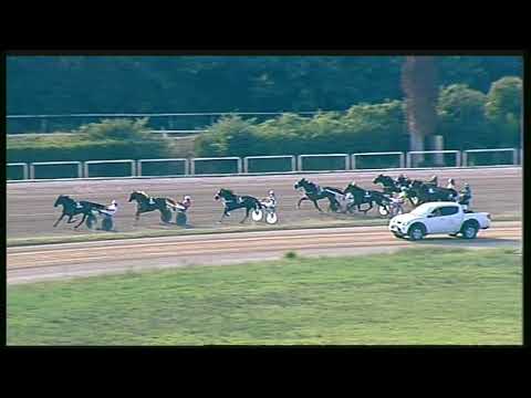 Trotto 13/09/2020 - 5ª corsa