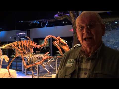 Florida Fossils_Arthur Leal