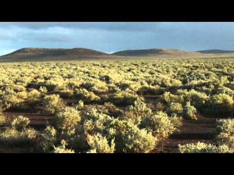 How can Natural Resources SA Arid Lands help you?