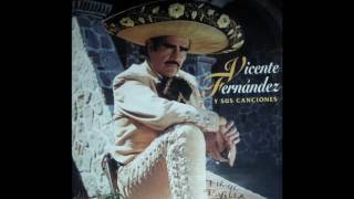 VICENTE FERNÁNDEZ nomas deje de quererte