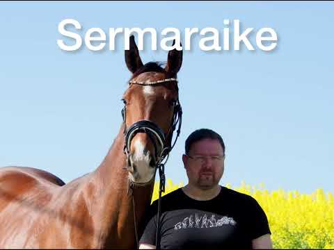 2020 Stute - Sermaraike - von Goldberg a.d. VbPrSt Serjade (Franziskus)