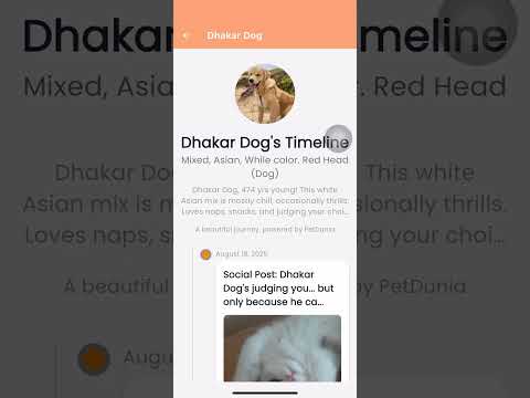 PetDunia: Pets rule the world