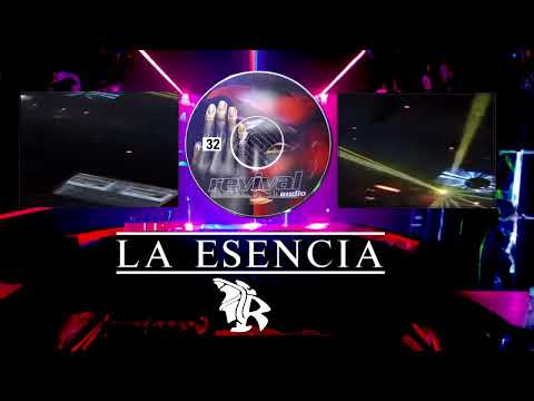 DISCOTECA Revival 32🐌🍄 2024