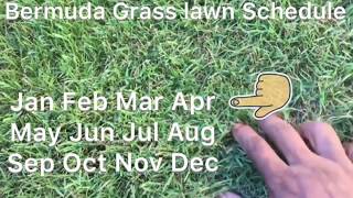 Bermuda Grass Calendar