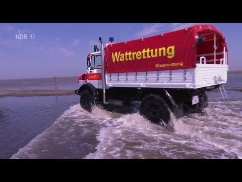 NaturNah - SOS im Wattenmeer [Doku HD]