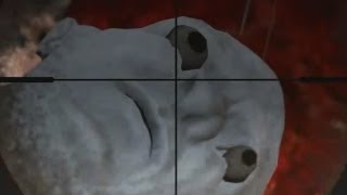 Red Dead Redemption - Secret Man Bear Pig