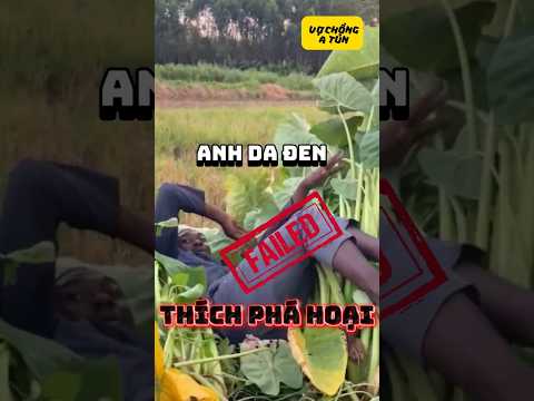 Chịu Thua với Ông Da Đen #youtubeshort #haihuoc #funny #giaitri #caucathugian #vuinhon