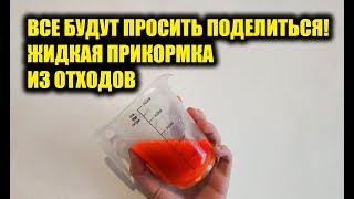 Жидкая прикормка своими руками для карпа летом