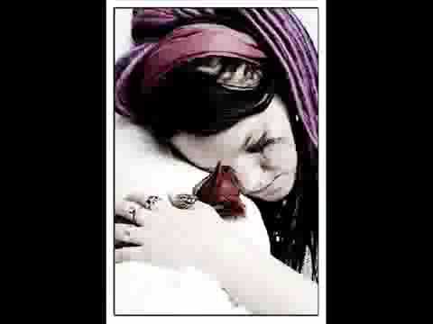 NEW PREMIERE SONG (2011) AVO-SUTE SUTE