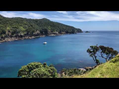 Tim Mumby catamaran homebuilt.