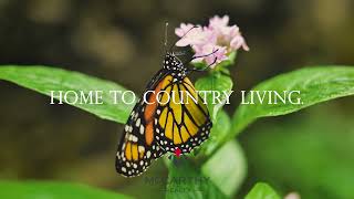 The McCarthy Realty Team Welcomes You to Amaranth Ontario