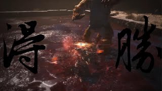 Re: [黑悟空] 虎先鋒 