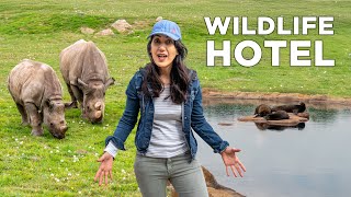 Staying at a Wildlife Hotel in Yorkshire, Full Tour & Honest Review