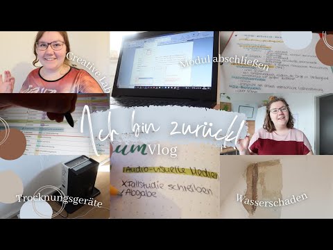 Wasserschaden, Fallstudie, Kreative Arbeit: Vier Wochen in einem Vlog // Vlog #94