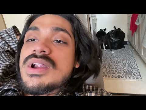 Talking about animal safety these days| #Dogs #Doglover #nafiskothakar