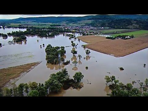 Bináris opciók kereskedése demó számlával