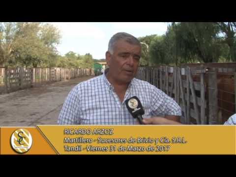 31-03-17 Nota Ricardo Arzoz - Suc. de Brivio y Cía. S.R.L. - Tandil