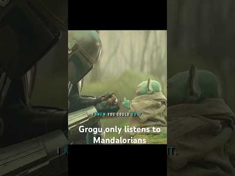 Grogu only listens to Mandalorians#shorts #shortvideo #series #fouryou